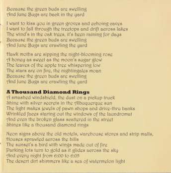 CD The Handsome Family: Honey Moon