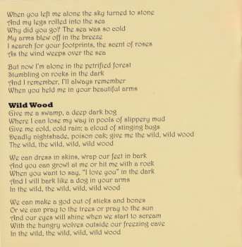 CD The Handsome Family: Honey Moon