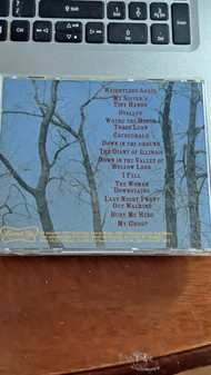 CD The Handsome Family: Through The Trees