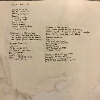 CD The Hidden Cameras: Awoo