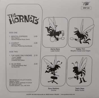 SP The Hornets: The Hornets