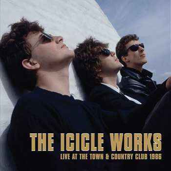 5CD/Box Set The Icicle Works: 5 Albums