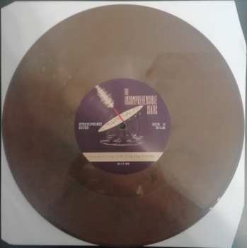 EP The Incomprehensible Static: Transmitting LIVE from the Future!