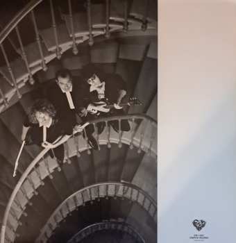 LP The Jackets: Intuition