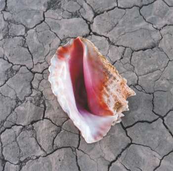 CD The Killers: Wonderful Wonderful DLX