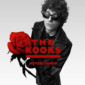 Album The Kooks: Never/know