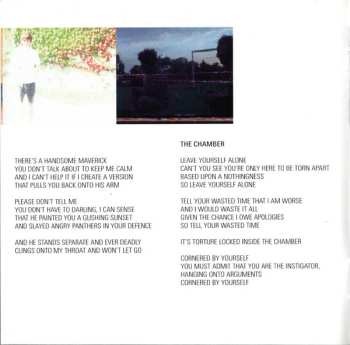 CD The Last Shadow Puppets: The Age Of The Understatement