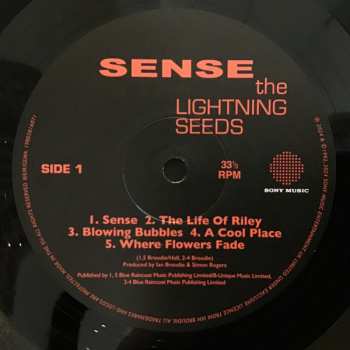 LP Lightning Seeds: Sense