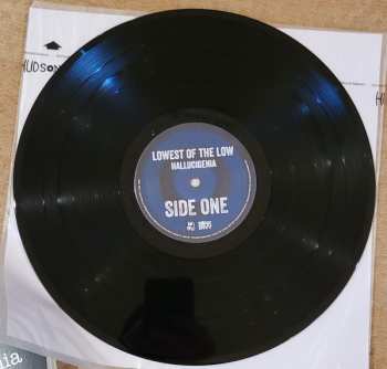 LP The Lowest Of The Low: Hallucigenia