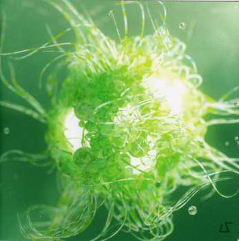 CD Animals As Leaders: The Madness Of Many