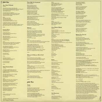 LP The Mastersons: Birds Fly South LTD