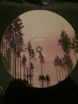 2LP The Moondoggies: Don't Be A Stranger