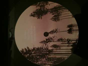 2LP The Moondoggies: Don't Be A Stranger