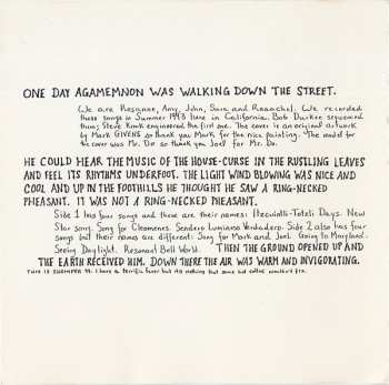 CD The Mountain Goats: Beautiful Rat Sunset