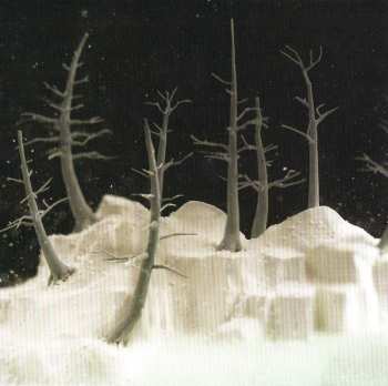 CD The New Pornographers: Together