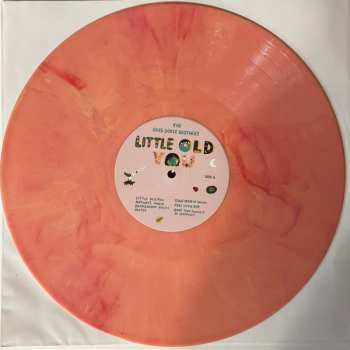 LP The Okee Dokee Brothers: Little Old You