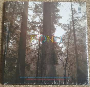 2LP The Phoenix Foundation: Fandango