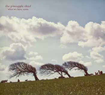 The Pineapple Thief: What We Have Sown