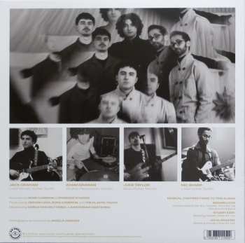 LP The Plastic Youth: The Plastic Youth