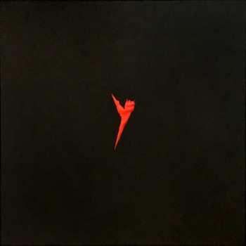 4LP/Box Set The Pop Group: Y