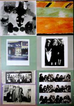 LP The Raincoats: Odyshape CLR