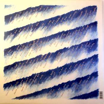 LP The Raincoats: Odyshape CLR