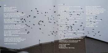 CD The Red Flags: Self-Centred And Delusional