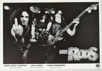 LP The Rods: Wild Dogs LTD | CLR