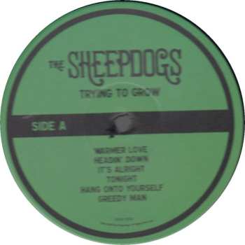 LP The Sheepdogs: Trying To Grow
