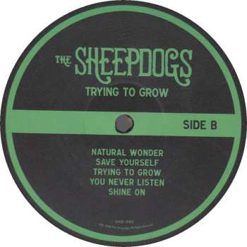 LP The Sheepdogs: Trying To Grow