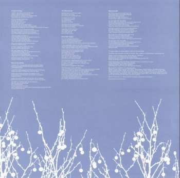 LP The Shins: Oh, Inverted World