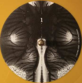 LP The Skull Defekts: Dances In Dreams Of The Known Unknown LTD | CLR