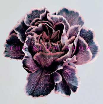 Album The Slow Show: Still Life