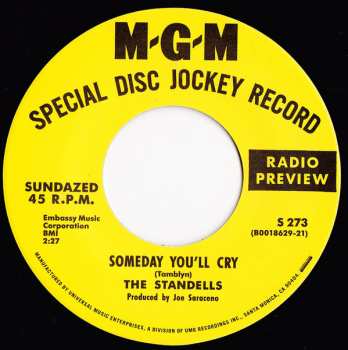 SP The Standells: Zebra In The Kitchen / Someday You'll Cry LTD