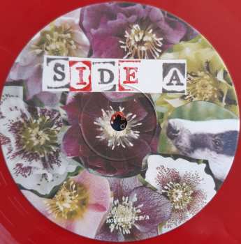 2LP The Surfing Magazines: Badgers Of Wymeswold CLR | LTD