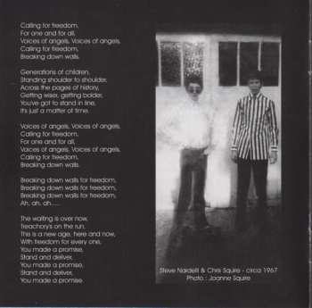 CD The Syn: Syndestructible