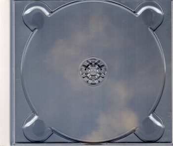 CD The Tallest Man on Earth: Shallow Grave