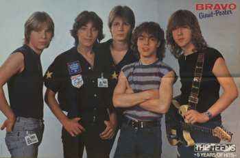 LP The Teens: The Best Of The Teens (5 Years Of Hits)