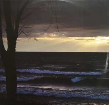 2LP The Tragically Hip: We Are The Same