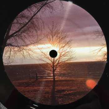 2LP The Tragically Hip: We Are The Same