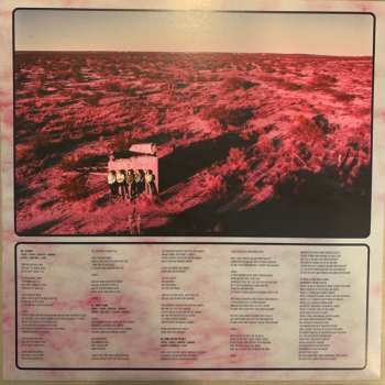 LP The Vaccines: Back In Love City