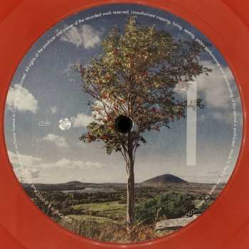 LP The Waterboys: All Souls Hill CLR