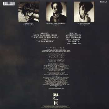 LP The Waterboys: This Is The Sea
