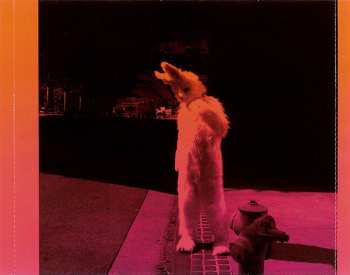 CD The Wedding Present: El Rey