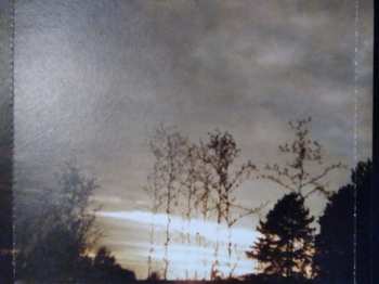 DVD The Wedding Present: I'm From Further North Than You