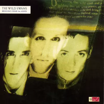 Bringing Home The Ashes