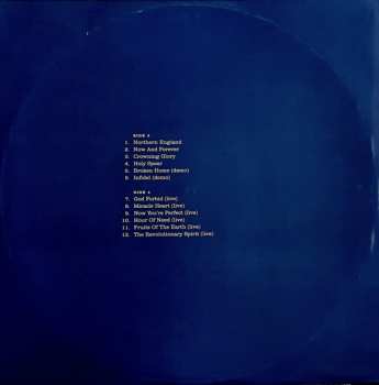 2LP The Wild Swans: Incandescent LTD