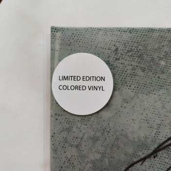 2LP The World Is A Beautiful Place & I Am No Longer Afraid To Die: Illusory Walls LTD | CLR