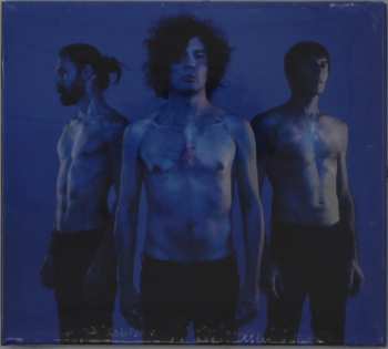 Album The Zen Circus: L’Ultima Casa Accogliente