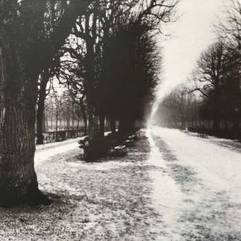 2LP Theo Travis: Slow Life LTD | CLR